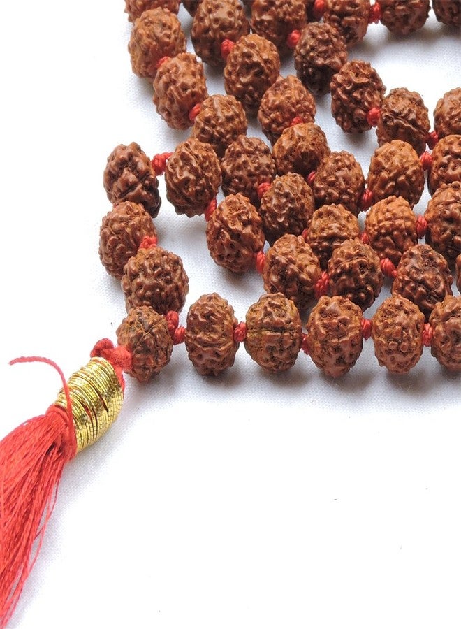 HealthGoodsIn Rudraksha Mala Knoted, Organic, 5 Face (Panchmukhi) with 108 + 1 Beads (8-9 MM Bead Size) for Japa Meditation - Image 2