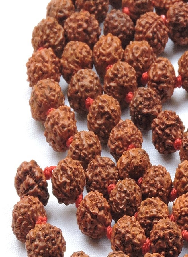 HealthGoodsIn Rudraksha Mala Knoted, Organic, 5 Face (Panchmukhi) with 108 + 1 Beads (8-9 MM Bead Size) for Japa Meditation - Image 3