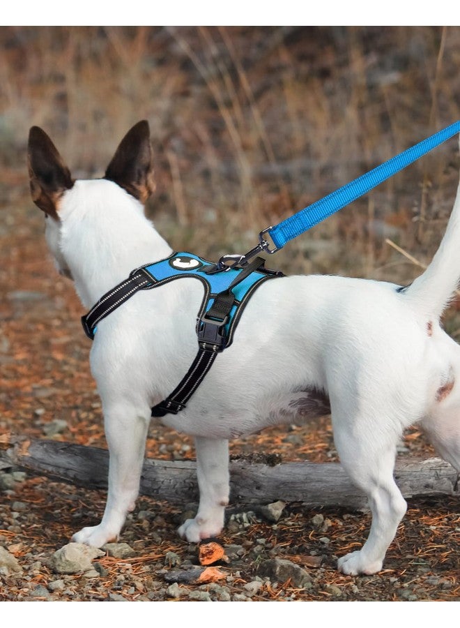 Joytale Joytale Double-Sided Reflective Dog Leash, 6 FT/5 FT/4 FT, Padded Handle Nylon Dogs Leashes for Medium & Large Dogs Walking, Sky Blue, 6FT  - Image 2