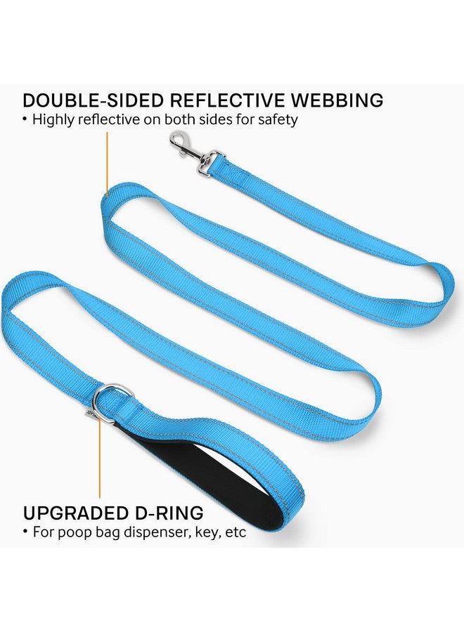 Joytale Joytale Double-Sided Reflective Dog Leash, 6 FT/5 FT/4 FT, Padded Handle Nylon Dogs Leashes for Medium & Large Dogs Walking, Sky Blue, 6FT  - Image 1