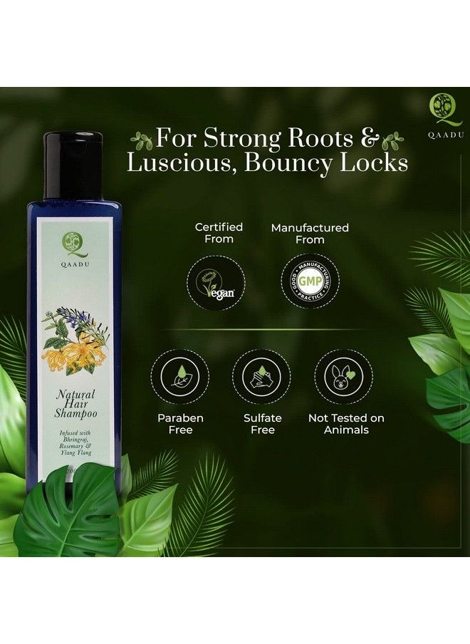 QAADU Natural Hair Shampoo With Bhringraj Rosemary And Ylang Ylang Sulphate And Paraben Free Herbal Shampoo Ideal For Thin Damageprone And Dry Hair 200Ml  - Image 5
