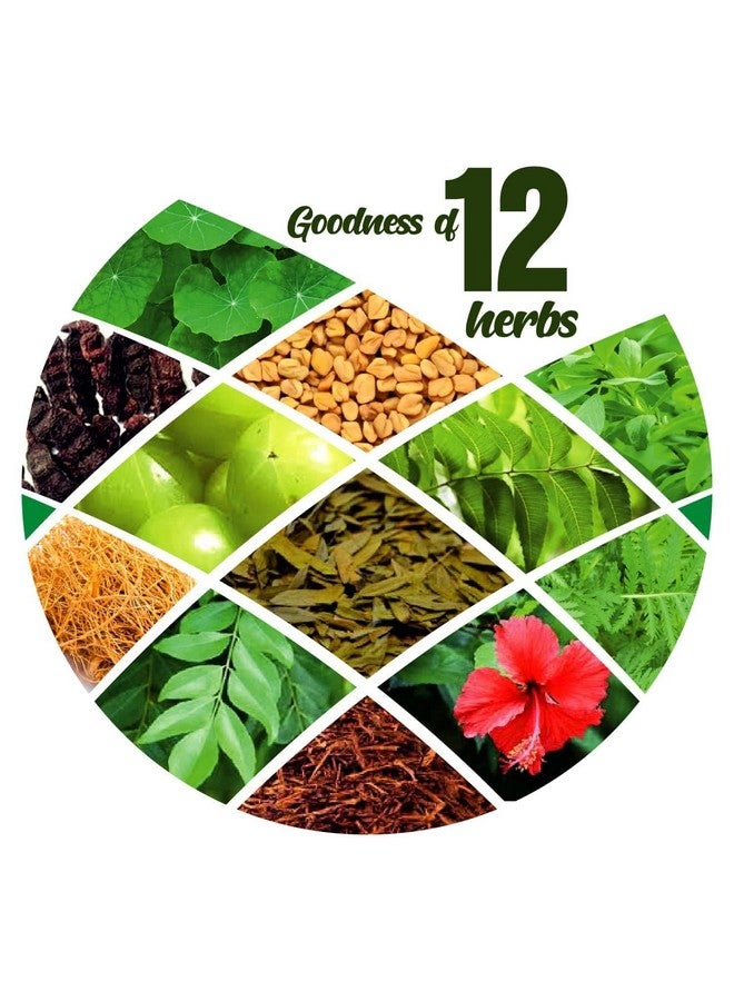 VCare Herbal Hair Wash,Conditioner,Hair Mask 3In1/Bhringraj,Amla,Hibiscus,Shikakai,/For Men & Women/Natural,Pure & Safe 100 Gm (Pack Of 3) - Image 3