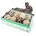 andwe Small Animals Play Activity Balls Rolling Chew Toys for Rabbits Guinea Pigs Chinchilla - Image 3