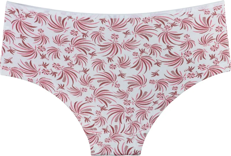 Sensu Women's High Waist Bato Panties Mixed Colors Package Set KTS1140