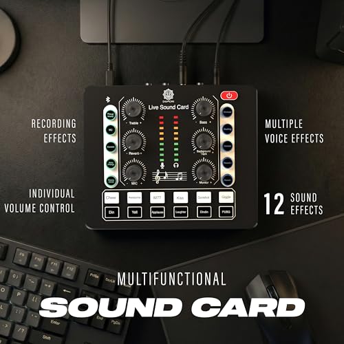 DIGIMORE Dual Condenser Microphone Kit for Singing with D-220 Sound Card | Studio Recording Equipments Full Set, Voice Recorder Mic, Karaoke, Gaming, Podcast & Lecture (D-442) - Image 3