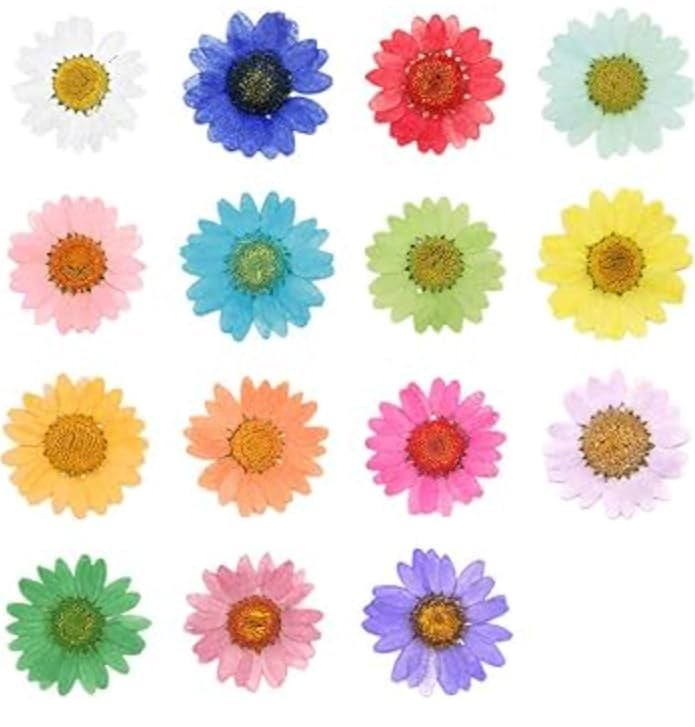 Luxury Dry Flower Box Daisy Real Dried Pressed Daisy Flowers for Art Craft Multicolor Soap Candle Scrapbooking DIY Resin Jewelry Pendant Pack of 1 - Image 1
