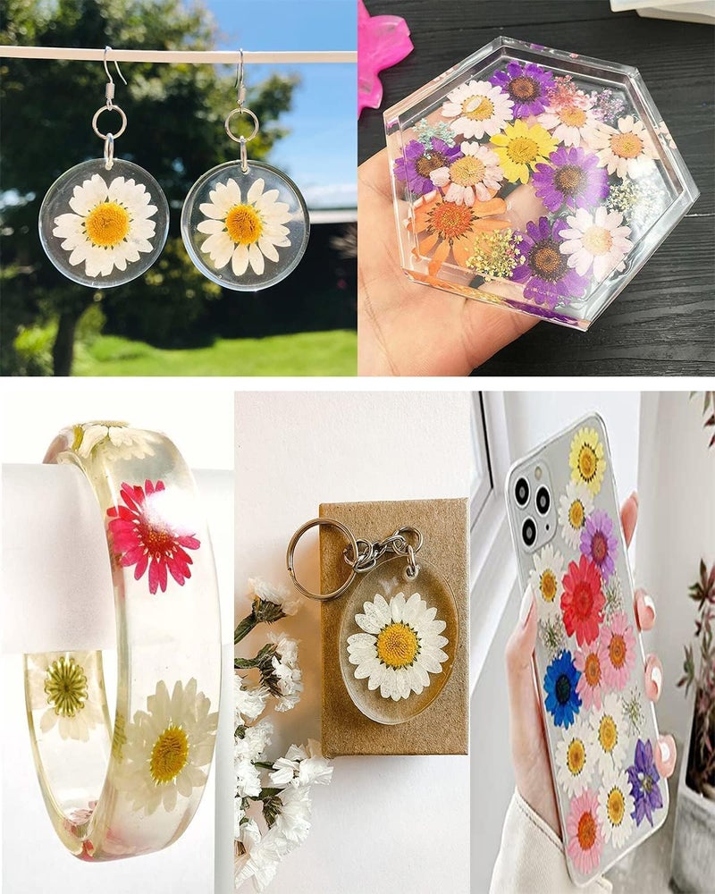 Luxury Dry Flower Box Daisy Real Dried Pressed Daisy Flowers for Art Craft Multicolor Soap Candle Scrapbooking DIY Resin Jewelry Pendant Pack of 1 - Image 2