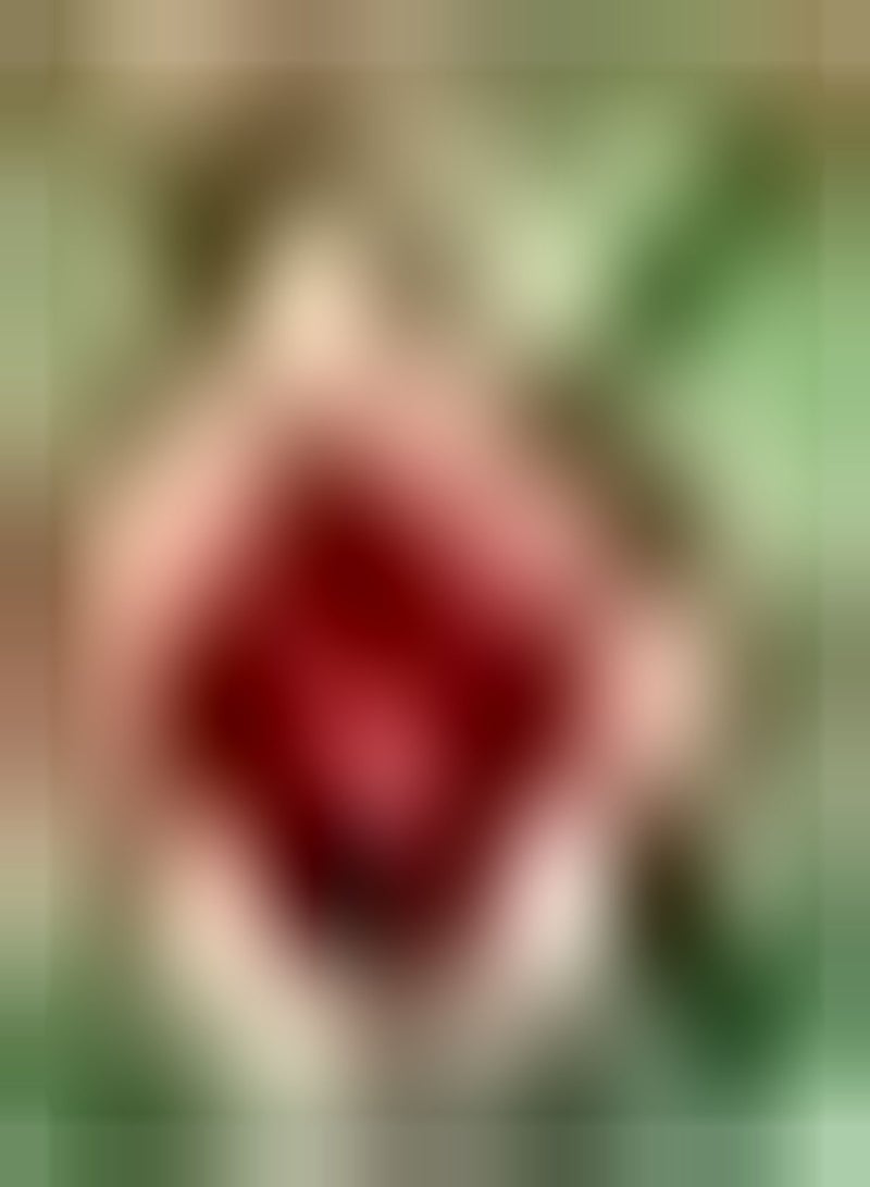 GGOOT 2pcs Rode Dahlia Bollen Geweldige Aanvulling op Decoratieve Tuin Geschikt Beginners Beginnende Tuiniers Gemakkelijk Teelt Trekt Bijen Kolibries - Image 3