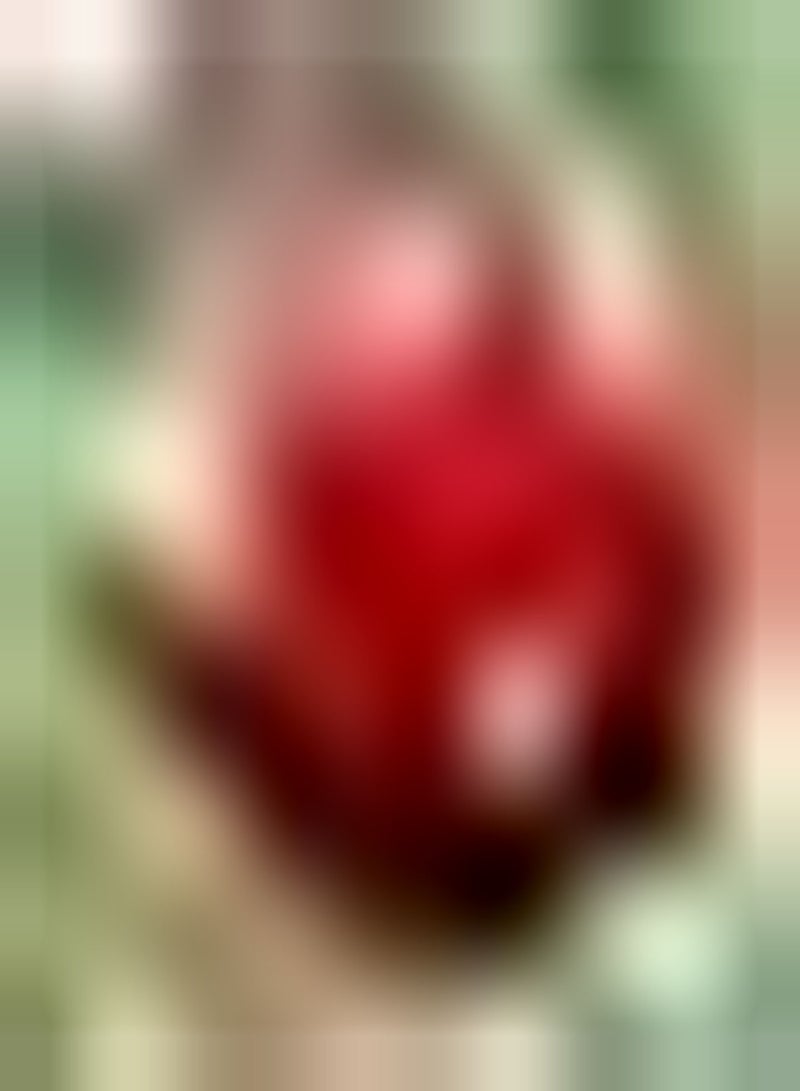 GGOOT 2pcs Rode Dahlia Bollen Geweldige Aanvulling op Decoratieve Tuin Geschikt Beginners Beginnende Tuiniers Gemakkelijk Teelt Trekt Bijen Kolibries - Image 2