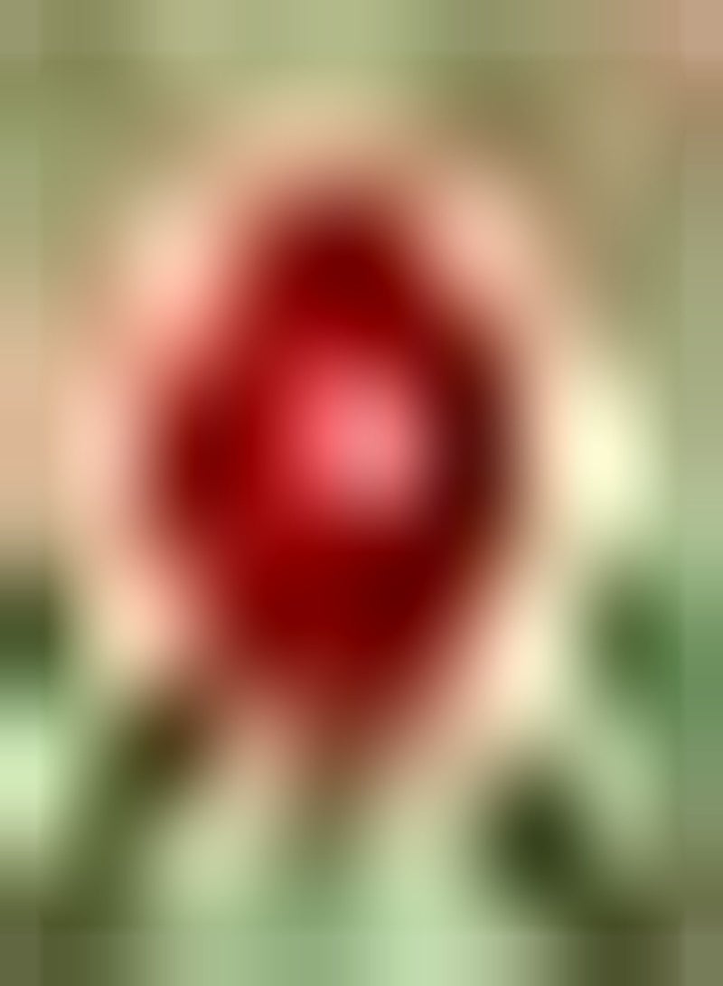 GGOOT 2pcs Rode Dahlia Bollen Geweldige Aanvulling op Decoratieve Tuin Geschikt Beginners Beginnende Tuiniers Gemakkelijk Teelt Trekt Bijen Kolibries - Image 1