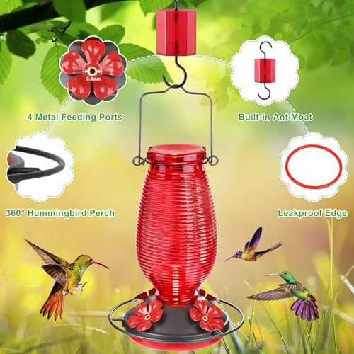 FEED GARDEN Glass Hummingbird Feeder for Outdoors Hanging 20 OZ Humming Birds Feeders with 4 Bee Guard Feeding Ports Builtin Ant Moat Bird Feeder for Outside Red 1 Pack - Image 3