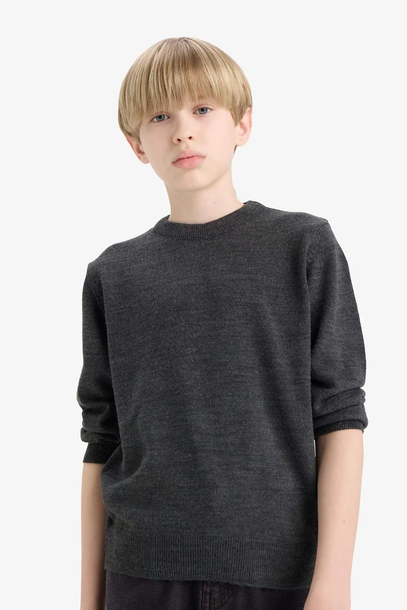 ديفاكتو Boy Regular Fit Crew Neck Knit Pullover