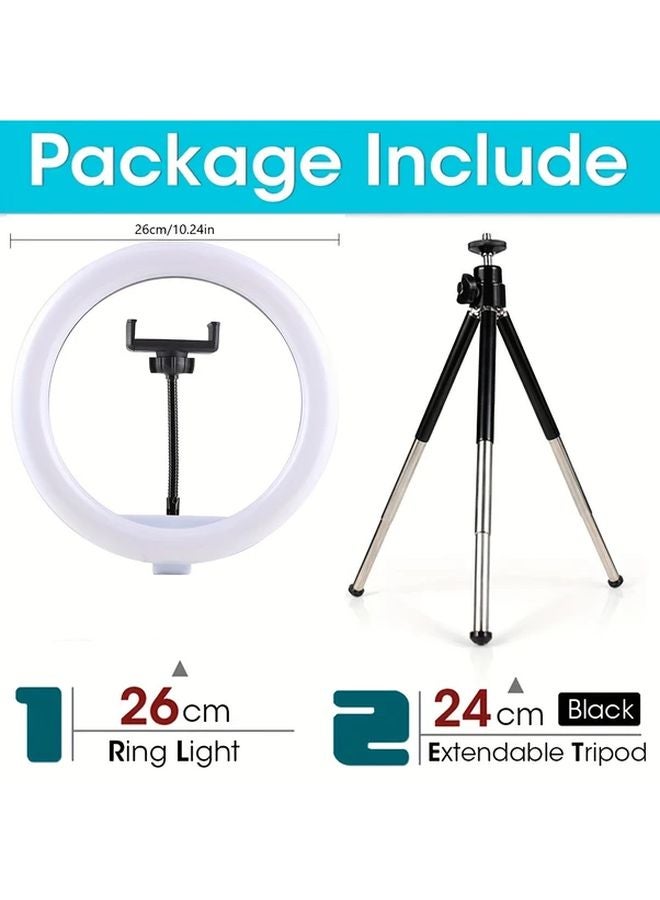 10 Inch Adjustable Desk Lamp With Metal Three Section Bracket - Image 3