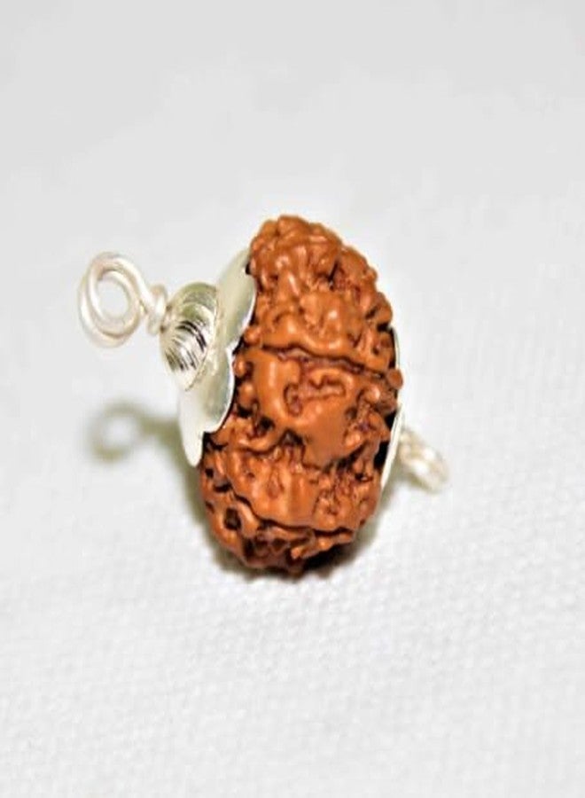 IRIS GEMS साथ मुखी रुद्राक्ष ओरिजनल Saath mukhi rudraksha with certificate, Seven mukhi rudraksha original सप्तमुखी रुद्राक्ष सेवन मुखी Saat mukhi rudraksha 7 मुखी रुद्राक्ष ओरिजनल Saptmukhi rudraksha - Image 4