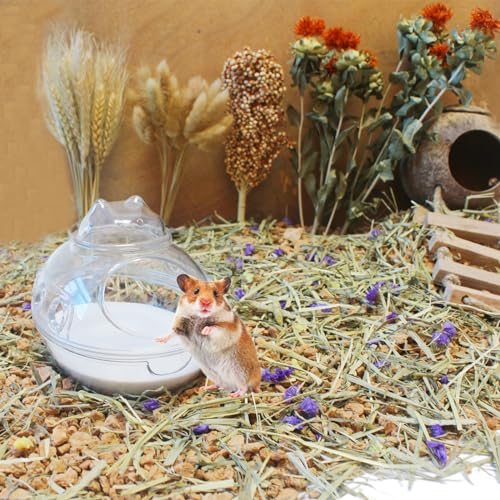 JFWOD Hamster Bath Sand, 7.7lb Dust Free Desert Sand or Potty Litter Sand for Hamster Chinchillas Gerbil Syrian Mice Small Animals - Image 4