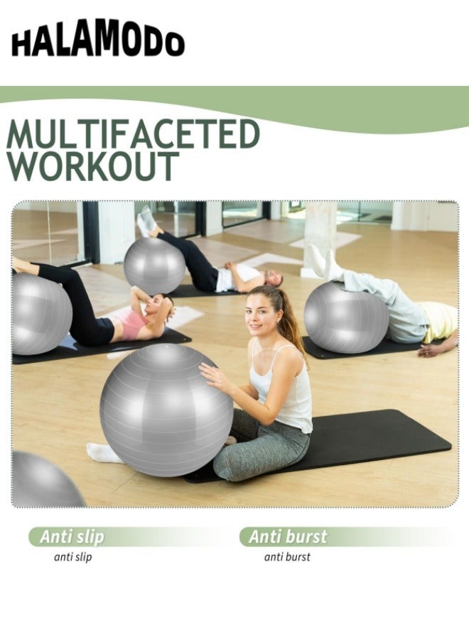 HALAMODO Exercise Ball Set Includes 1pc Air Pump & 1pc Air Tube & 1pc Puller & 1pc Plug & 1pc Instruction Manual Balance Fitness Ball with Professional Grade Anti Burst & Slip Material for Core Training & Yoga Workout - Image 5