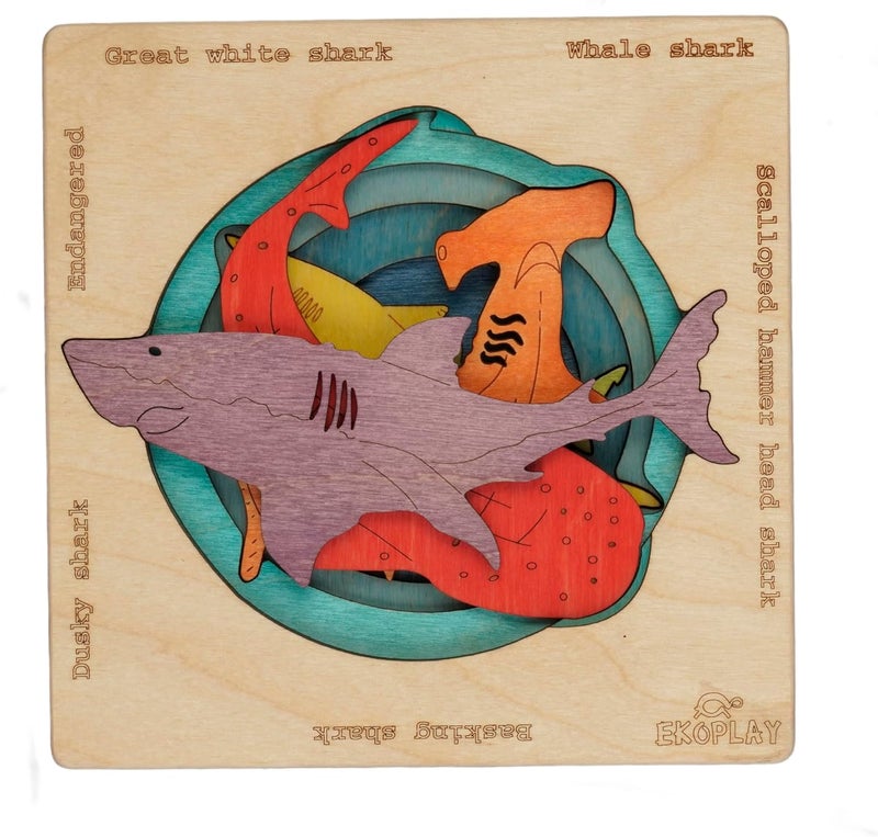EKOPLAY ’s Multi Layered Wooden Puzzles for Kids, 5 Piece Jigsaw Puzzle for Pre-School Kids, Learning Educational Toys Gifts for Boys Girls. Wildlife Animal Puzzle Sets, Endangered Sharks. - Image 1