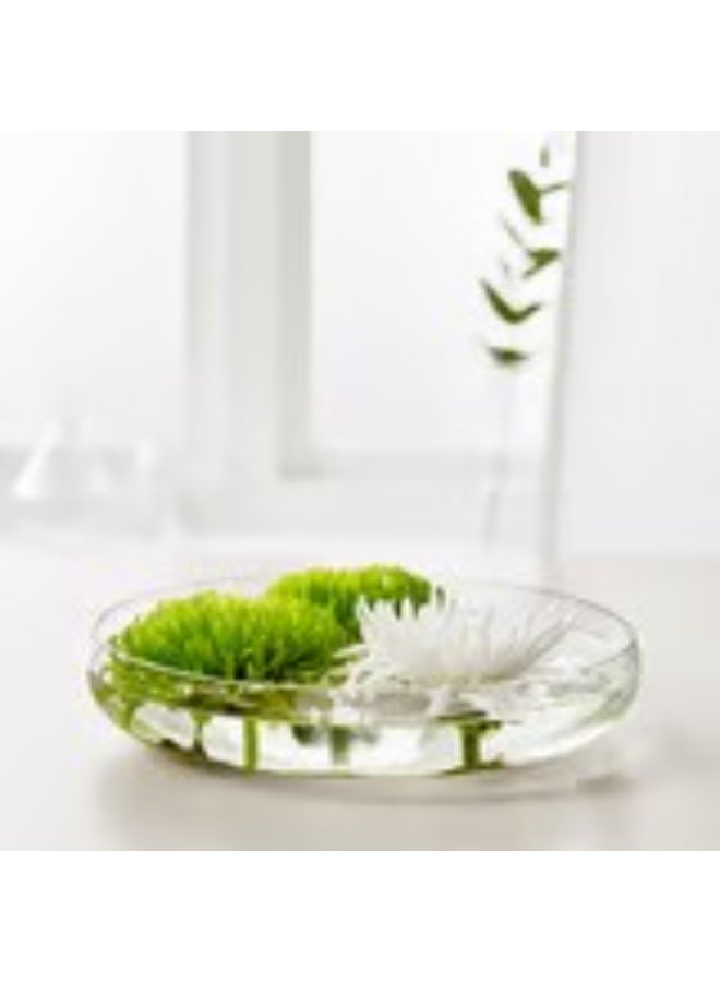 وعاء من الزجاج الشفاف - Image 2