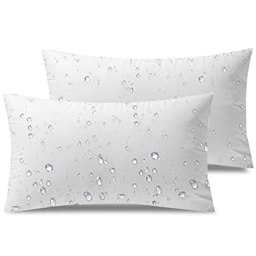 Phantoscope Premium Outdoor Pillow Inserts  Pack of 2 Square Form Water Resistant Decorative Throw Pillows Couch Sham Cushion Stuffer 12 x 20 inches - Image 1