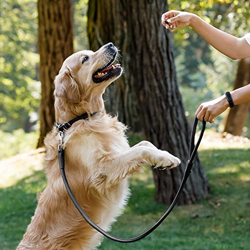 CollarDirect Rolled Leather Dog Leash 6ft, Soft Training Leather Dog Leash for Puppy and Grown Dog Small Medium Large Black Blue Red Orange Green Pink White (Black, Size XL 6ft) - Image 4