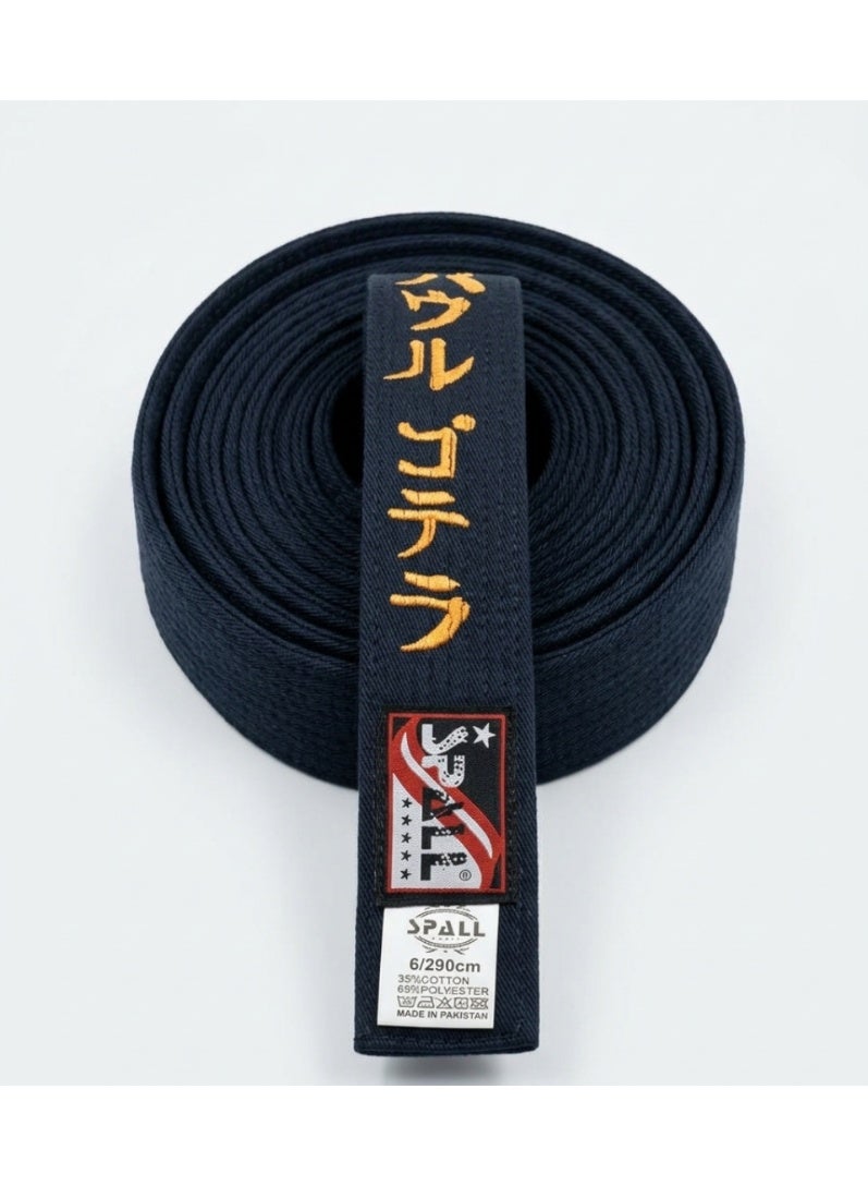 SPALL Karate Master Black Belt Taekwondo Belt Kyokushin Karate Belt Premium Quality Martial Arts Belt - Image 1