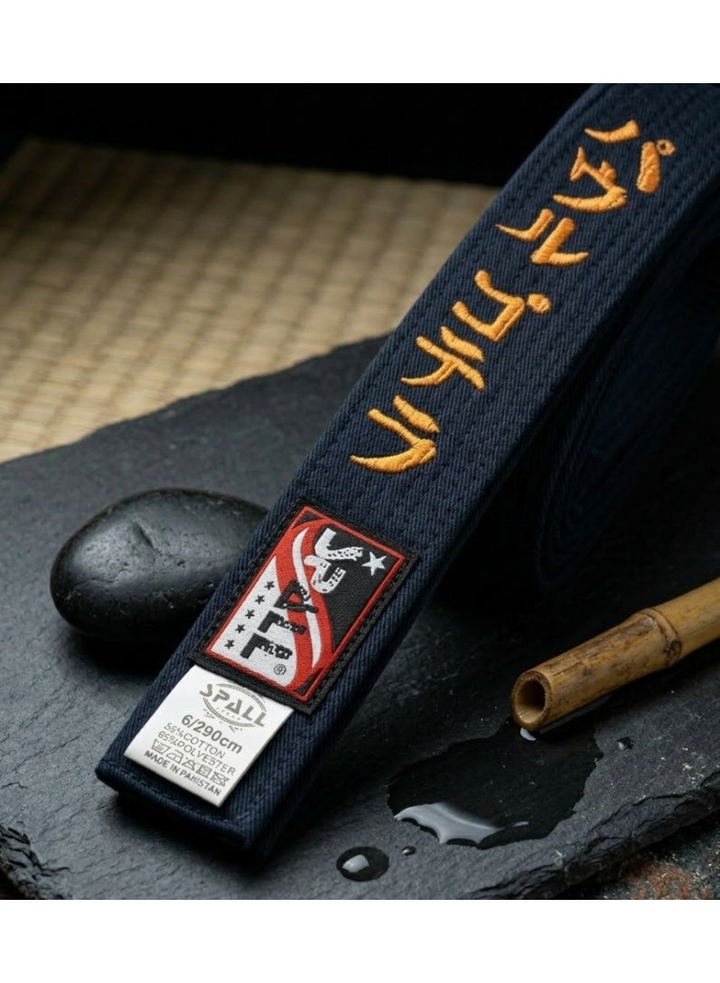 SPALL Karate Master Black Belt Taekwondo Belt Kyokushin Karate Belt Premium Quality Martial Arts Belt - Image 2