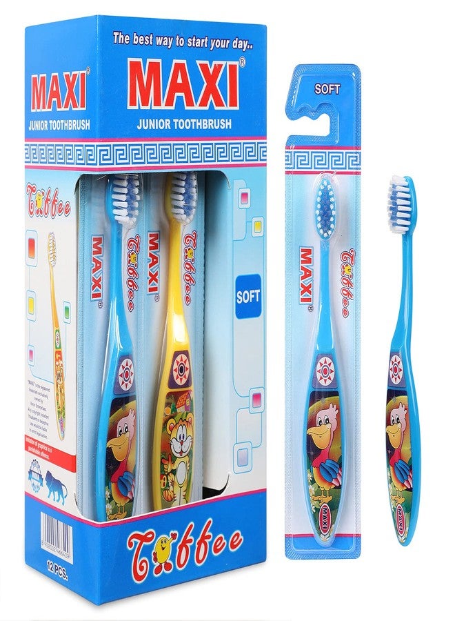 MAXI Toffee Junior Toothbrush (Pack of 12 - Image 4