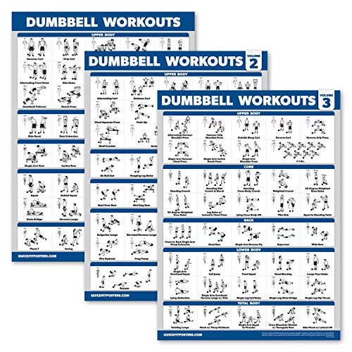 Palace Learning Palace Learning 3 Pack  Dumbbell Workout Posters for Home Gym  Volume 1 2  3  Exercise Charts Laminated 18 x 24