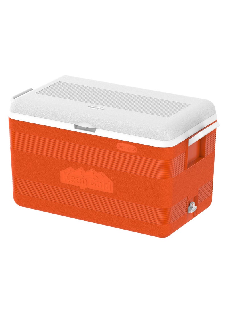 Cosmoplast Cosmoplast 59L KeepCold Deluxe Icebox  - Image 1