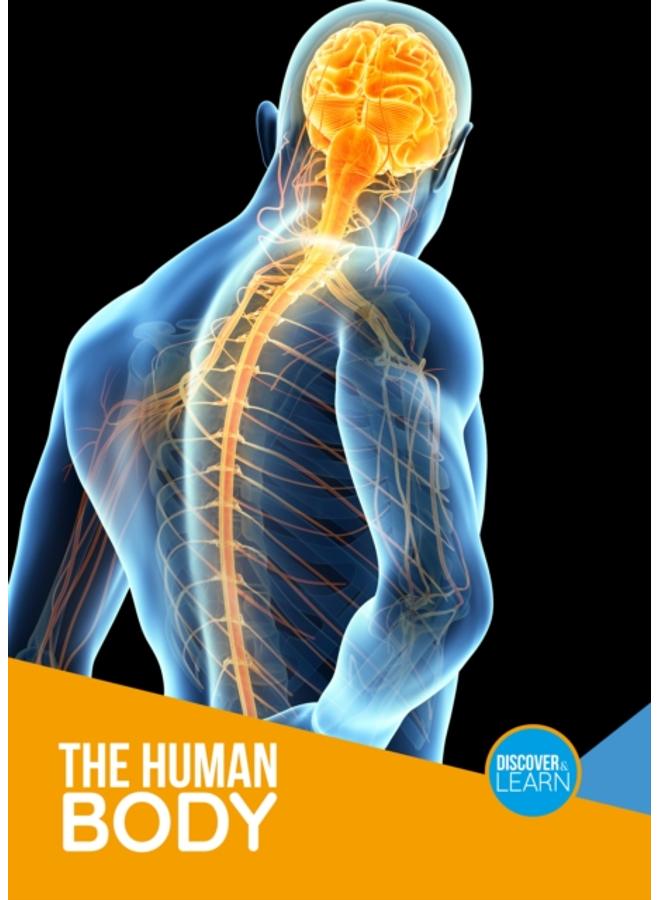 The Human Body 