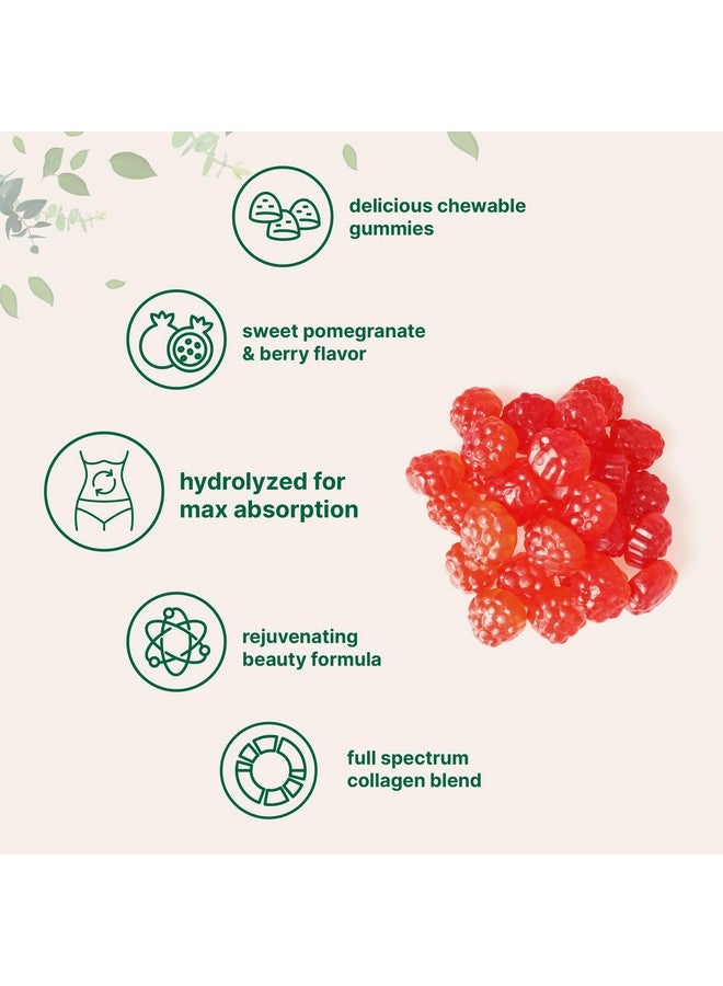 Micro Ingredients Micro Ingredients Multi Collagen Peptides, 120 Collagen Gummies | Type I,II,III,V,X Protein with Biotin, Hyaluronic Acid, & Vitamin C Complex | Pomegranate & Berry Flavored | Sugar Free, Non-GMO  - Image 3