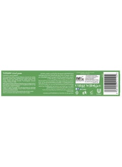 Close Up Toothpaste Menthol Fresh  - Image 2