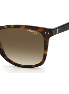 Carrera Men's Square Sunglasses - CARRERA 2022T/S_0086 HA - Lens size: 51 mm  - Image 3