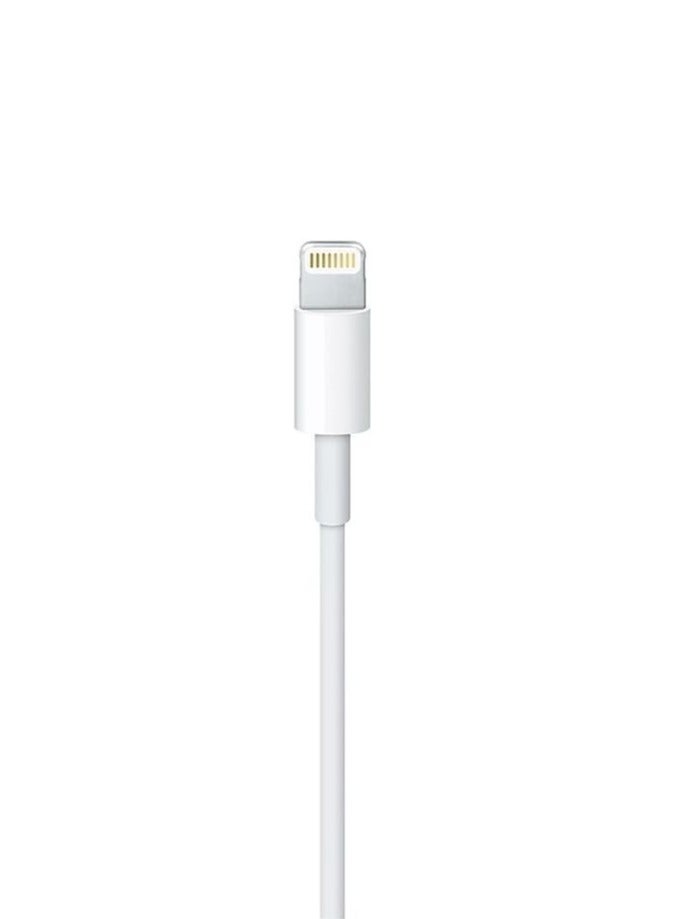USB-C To Lightning Cable 1meter White - Image 5