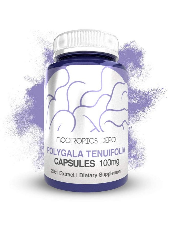 Nootropics Depot - Polygala Tenuifolia Capsules  100Mg  90 Count  20:1 Extract  Yuan Zhi  Promotes Cognitive Function Learning And Memory  Supports Healthy Stress Levels  Adaptogen Supplement - Image 1