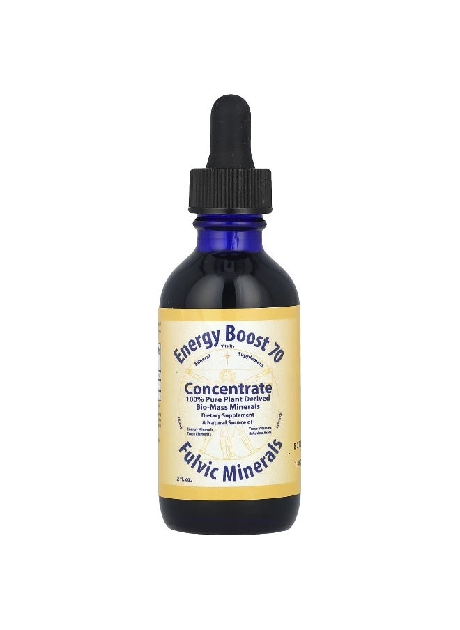 Morningstar Minerals Morningstar Minerals, Energy Boost 70, Concentrate, 2 fl oz  - Image 1