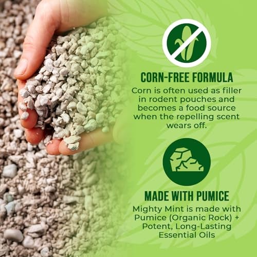 Mighty Mint Mouse Repellent Pouches – Peppermint, Castor Oil & Cinnamon Formula – Natural Indoor Deterrent for Mice and Rodents – Plant-Based, Long-Lasting Protection – 12 Count - Image 5