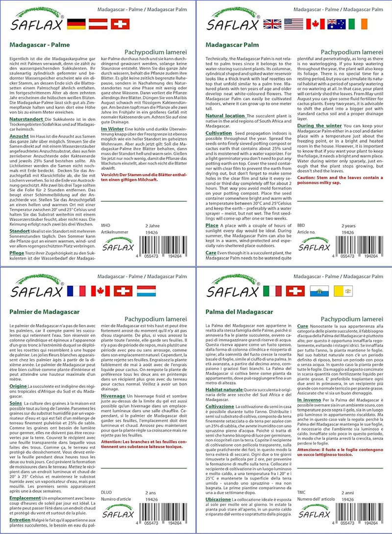 GGOOT Garden in The Bag - Madagascar Palm - 10 Seeds - Pachypodium lamerei - Image 3