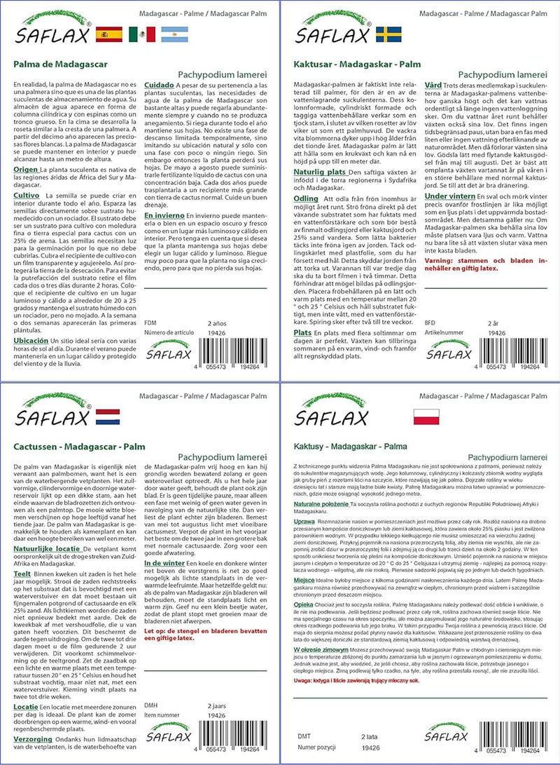 GGOOT Garden in The Bag - Madagascar Palm - 10 Seeds - Pachypodium lamerei - Image 4