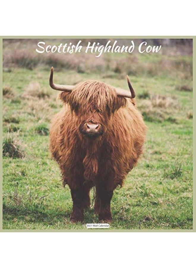 Scottish Highland Cow 2021 Wall Calendar: Official Highland Cow Wall Calendar 2021