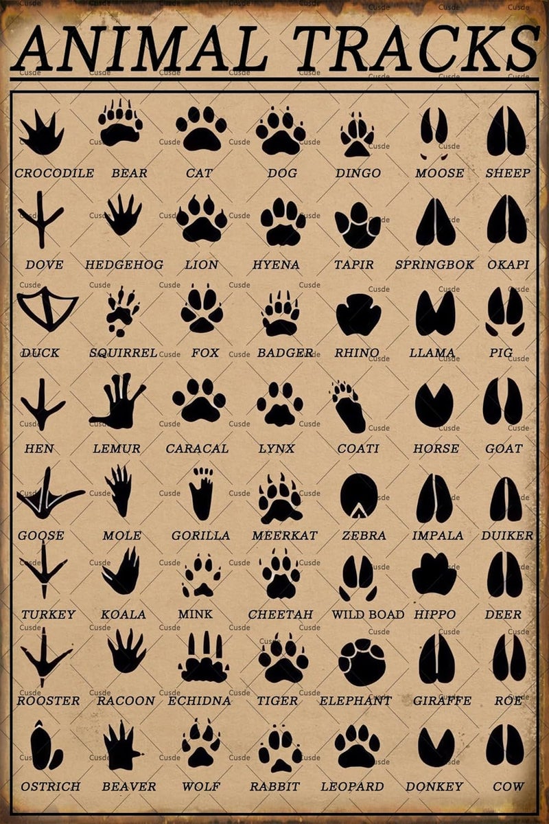 Cusde Cabin Decor Animal Tracks Sign Vintage Hunting Decor Funny Gifts For Animal Lovers Forest Metal Tin Sign Woodland Nursery Poster Outdoor Home 8x12 Inch - Image 1