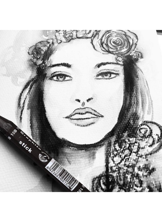 dainayw - Graphite Stick Set Water Soluble 4B 6B 10B Art Drawing Supplies For Sketch & Shading Pencils Artist Sketching 3 Pcs - Image 1