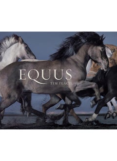 Equus (Mini) - pzsku/Z99266FCFCCDB49414099Z/45/_/1721063021/c1d99d01-8285-4dd7-8d26-bbcd452994ef