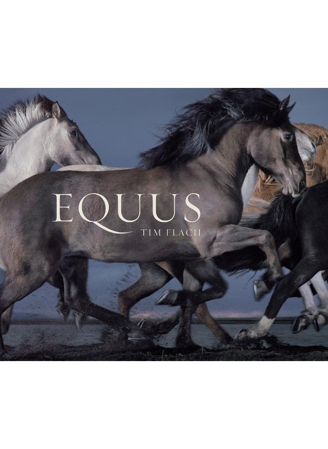 Equus (Mini) 