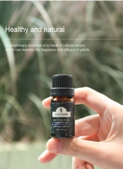 Mi VAZA 12-piece Boxed Vegetable Essential Oil 10ml  - Image 2