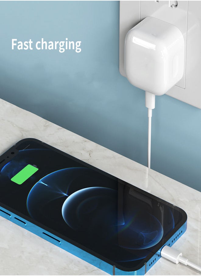 Black Tiger - 25W Fast Charger Compatible with iPhone 11 / 12 / 13 / 14 / 15 with Type C port and Cable - Image 1