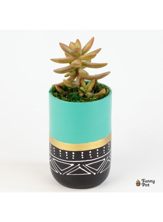 Cactus pottery pot