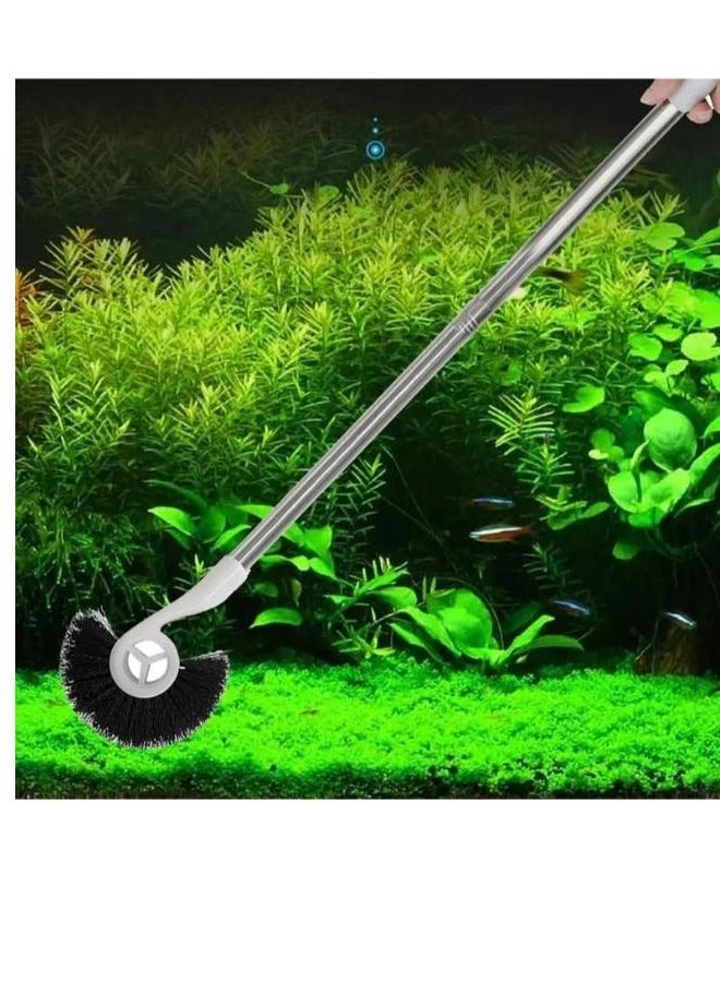 فرشاة حصان البحر باللون الأسود - Image 5