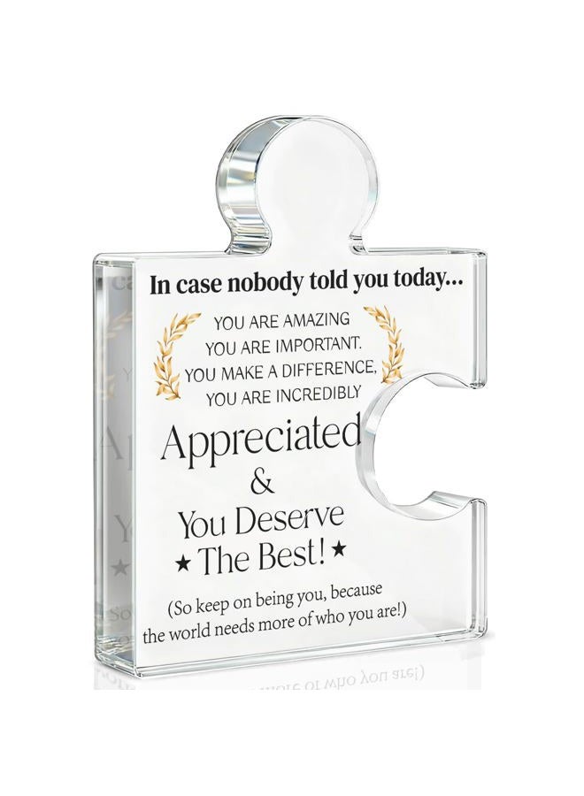 Yigaue Employee Appreciation Gifts Thank You Gift Goodbye Leaving Gifts for Coworkers Colleagues Employees, in Case Nobody Told You Today You Are Appreciated Acrylic Puzzle Piece Plaque Office Decor - Image 1