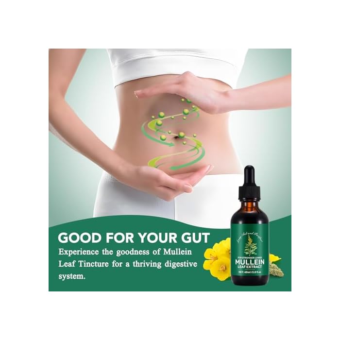QJCWXIAOX 2 Pack Mullein Drops for Lungs, Mullein Leaf Extract with Chlorophyll,Mullein Leaf Extract for Lung Cleanse and Respiratory Support -2 Bottles - Image 5